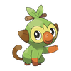 Grookey