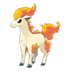 Ponyta