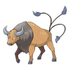 Tauros